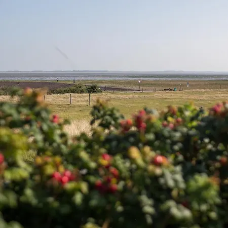 Haus Braeaetlun Braeaetlun 4 Appartement *