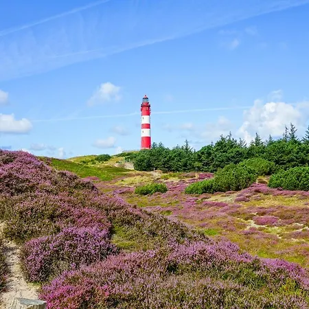 Haus Braeaetlun Braeaetlun 4 * Norddorf auf Amrum